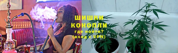гашик Алексеевка