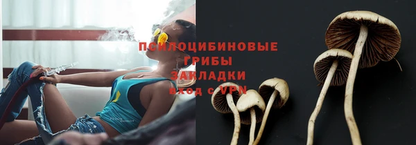 гашик Алексеевка