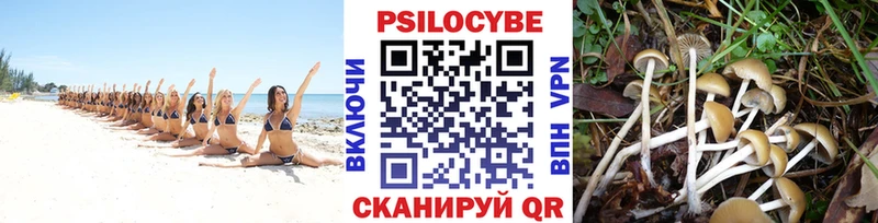 купить   OMG ссылки  Галлюциногенные грибы мицелий  Тихвин 